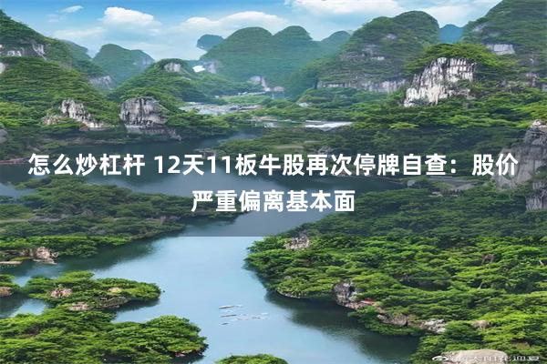 怎么炒杠杆 12天11板牛股再次停牌自查：股价严重偏离基本面