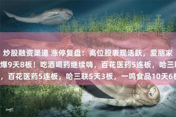 炒股融资渠道 涨停复盘：高位股表现活跃，爱丽家居12天11板，高争民爆9天8板！吃酒喝药继续嗨，百花医药5连板，哈三联5天3板，一鸣食品10天6板！