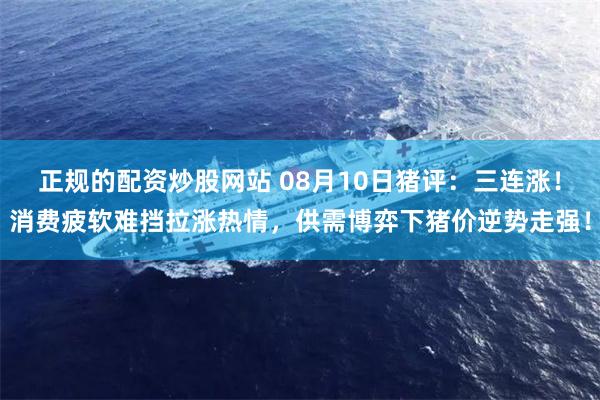 正规的配资炒股网站 08月10日猪评：三连涨！消费疲软难挡拉涨热情，供需博弈下猪价逆势走强！