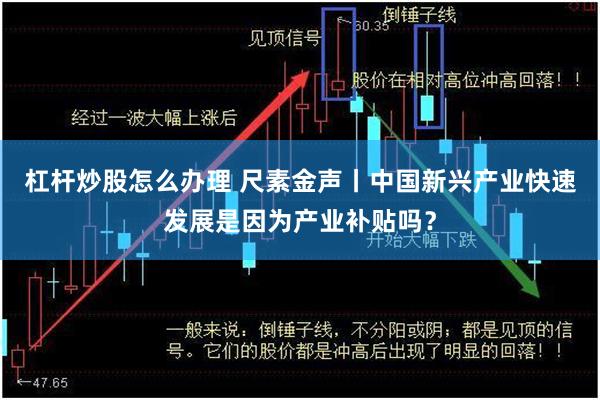 杠杆炒股怎么办理 尺素金声丨中国新兴产业快速发展是因为产业补贴吗？