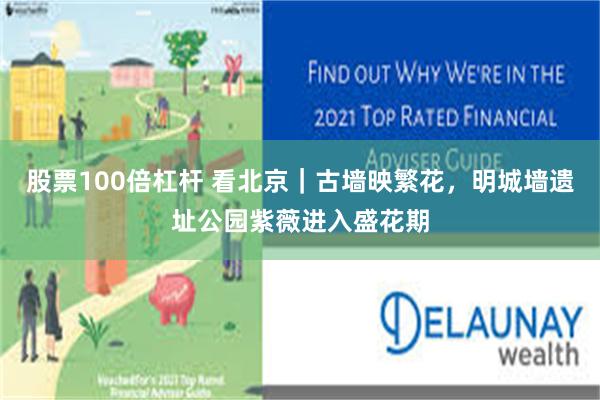 股票100倍杠杆 看北京｜古墙映繁花，明城墙遗址公园紫薇进入盛花期