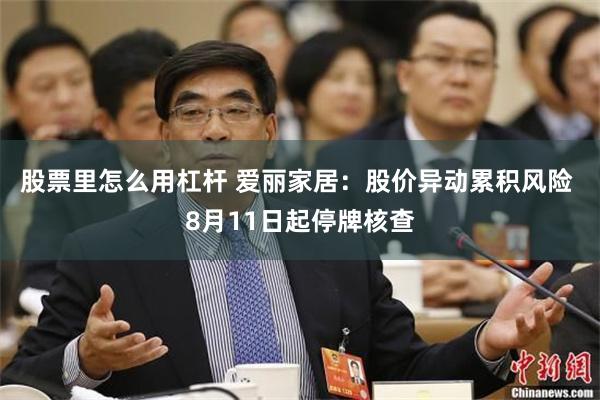 股票里怎么用杠杆 爱丽家居：股价异动累积风险 8月11日起停牌核查