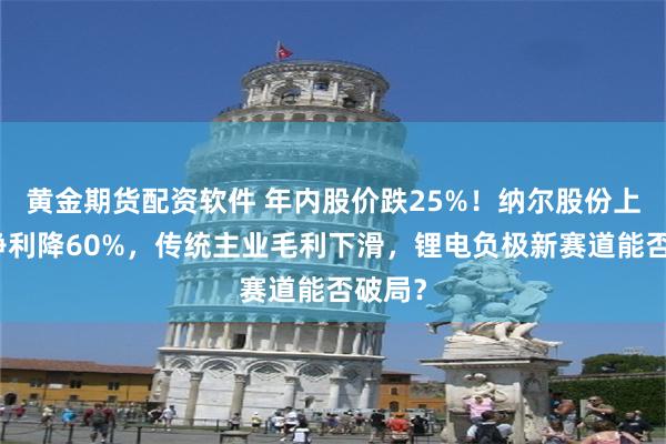 黄金期货配资软件 年内股价跌25%！纳尔股份上半年净利降60%，传统主业毛利下滑，锂电负极新赛道能否破局？