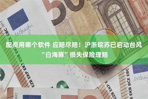 配资用哪个软件 应赔尽赔！沪浙皖苏已启动台风“白海豚”损失保险理赔
