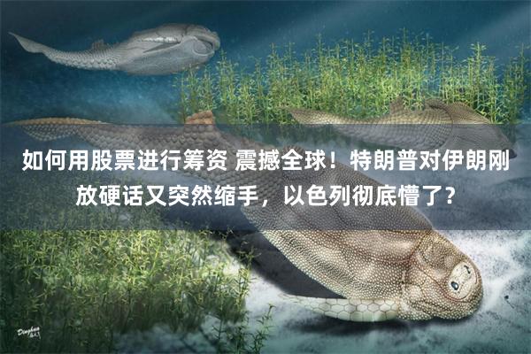 如何用股票进行筹资 震撼全球！特朗普对伊朗刚放硬话又突然缩手，以色列彻底懵了？