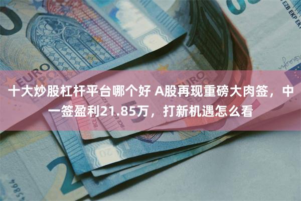 十大炒股杠杆平台哪个好 A股再现重磅大肉签，中一签盈利21.85万，打新机遇怎么看