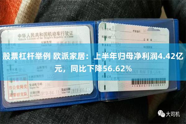 股票杠杆举例 欧派家居：上半年归母净利润4.42亿元，同比下降56.62%