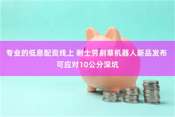专业的低息配资线上 耐士劳割草机器人新品发布 可应对10公分深坑