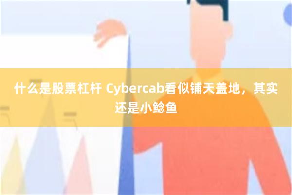 什么是股票杠杆 Cybercab看似铺天盖地，其实还是小鲶鱼