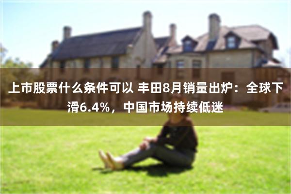 上市股票什么条件可以 丰田8月销量出炉:全球下滑6.4%,中国市场持续低迷